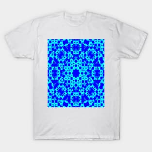 Perspectives RYBEYE2g T-Shirt